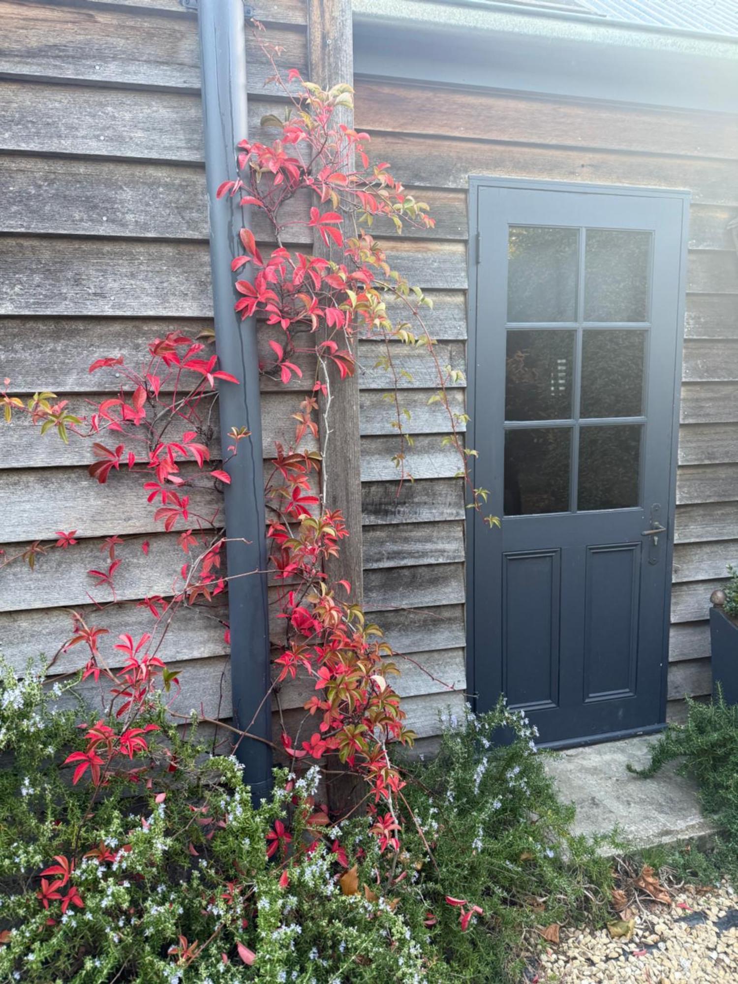 Elm Cottage Barn Oatlands Extérieur photo